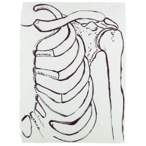 Andy Warhol, Physiological Diagram, c. 1985-86