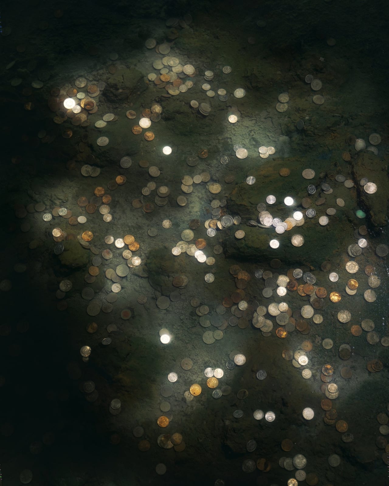 Chen Wei, Coins #5, 2012