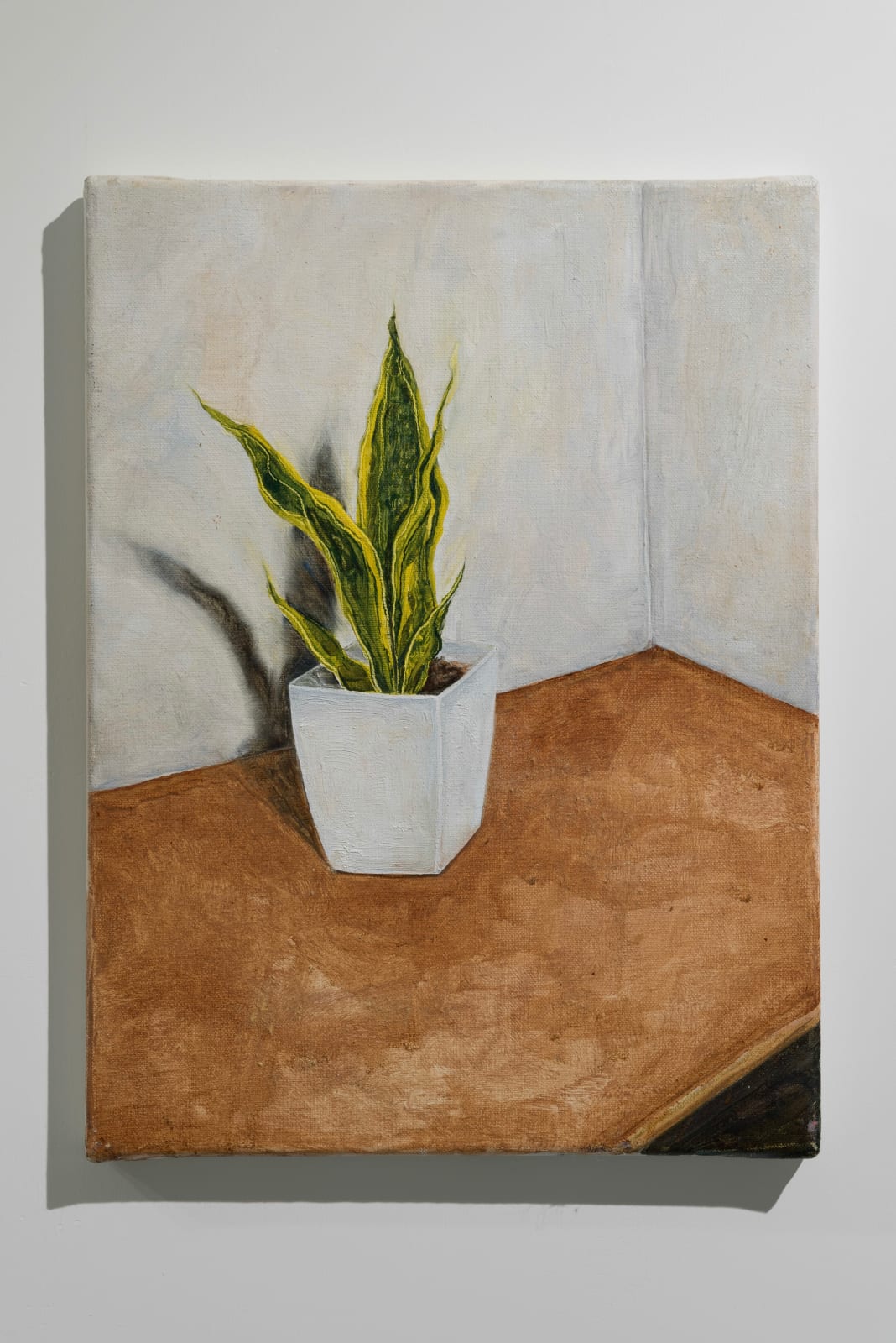 Gavin Yip, Snake Plant《虎尾蘭》, 2015