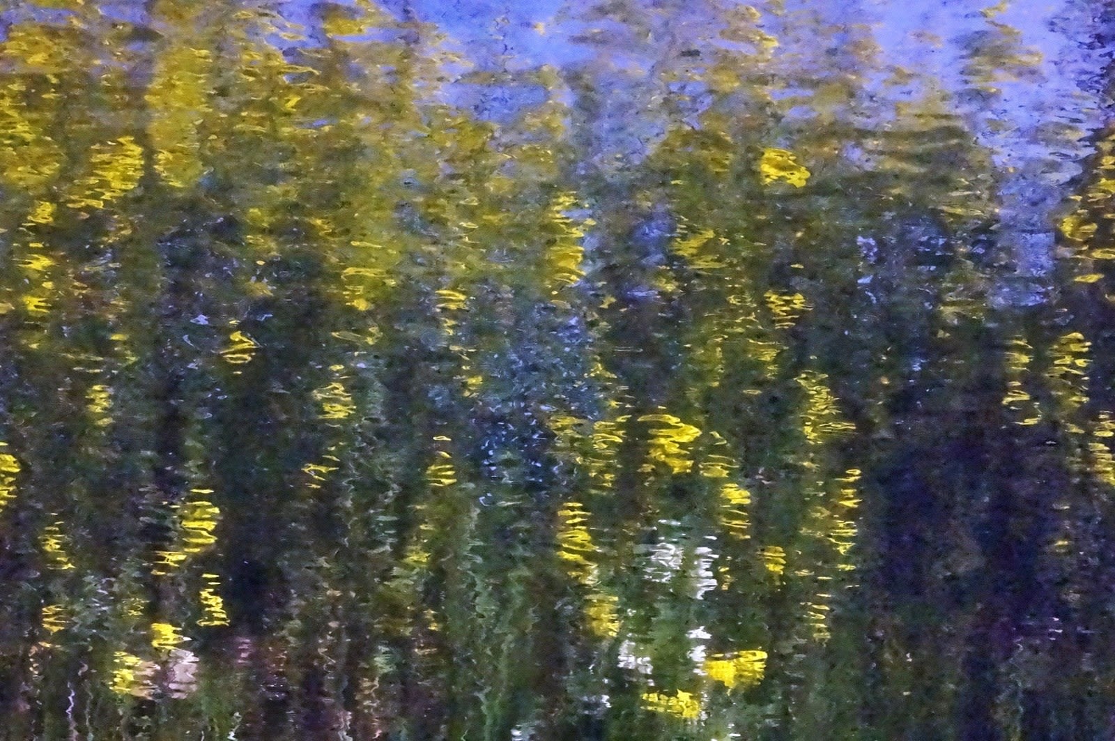 Kitty Chou, Yellow, Green & Violet #1, 2014