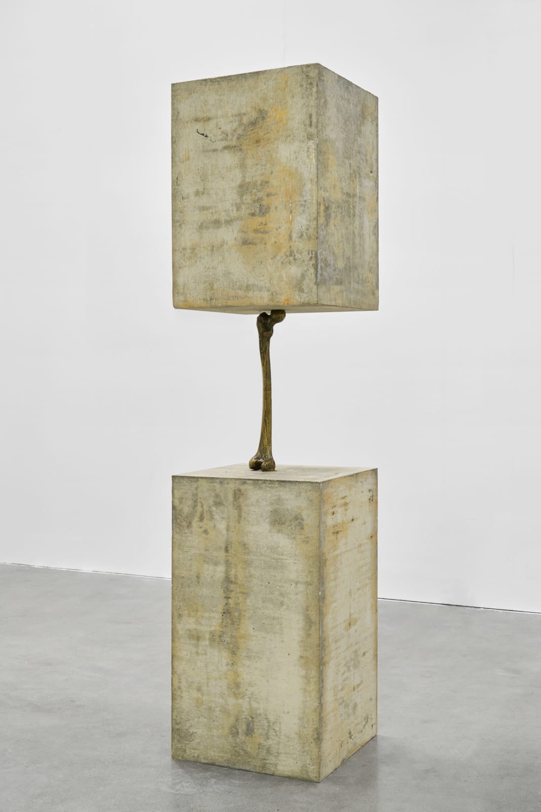Yoan Capote, Autorretrato (Estudio de Resistencia), 2019