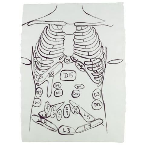 Andy Warhol, Physiological Diagram, 1985-86