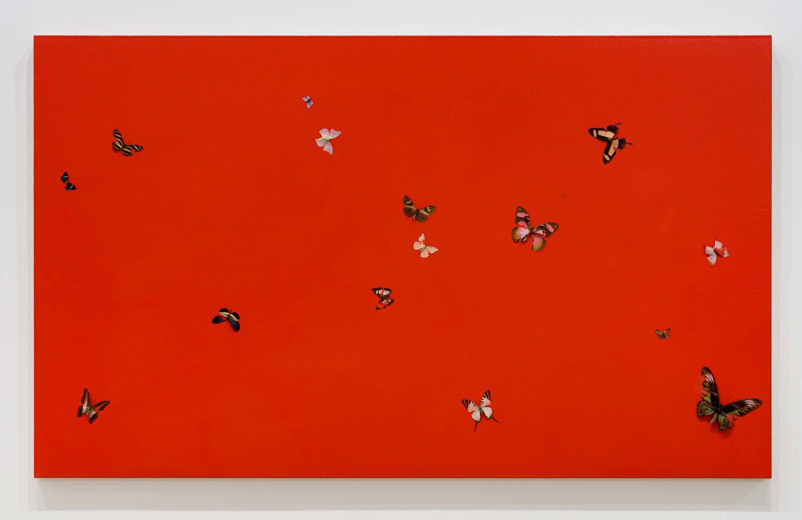 Damien Hirst, Full of Love, 1998