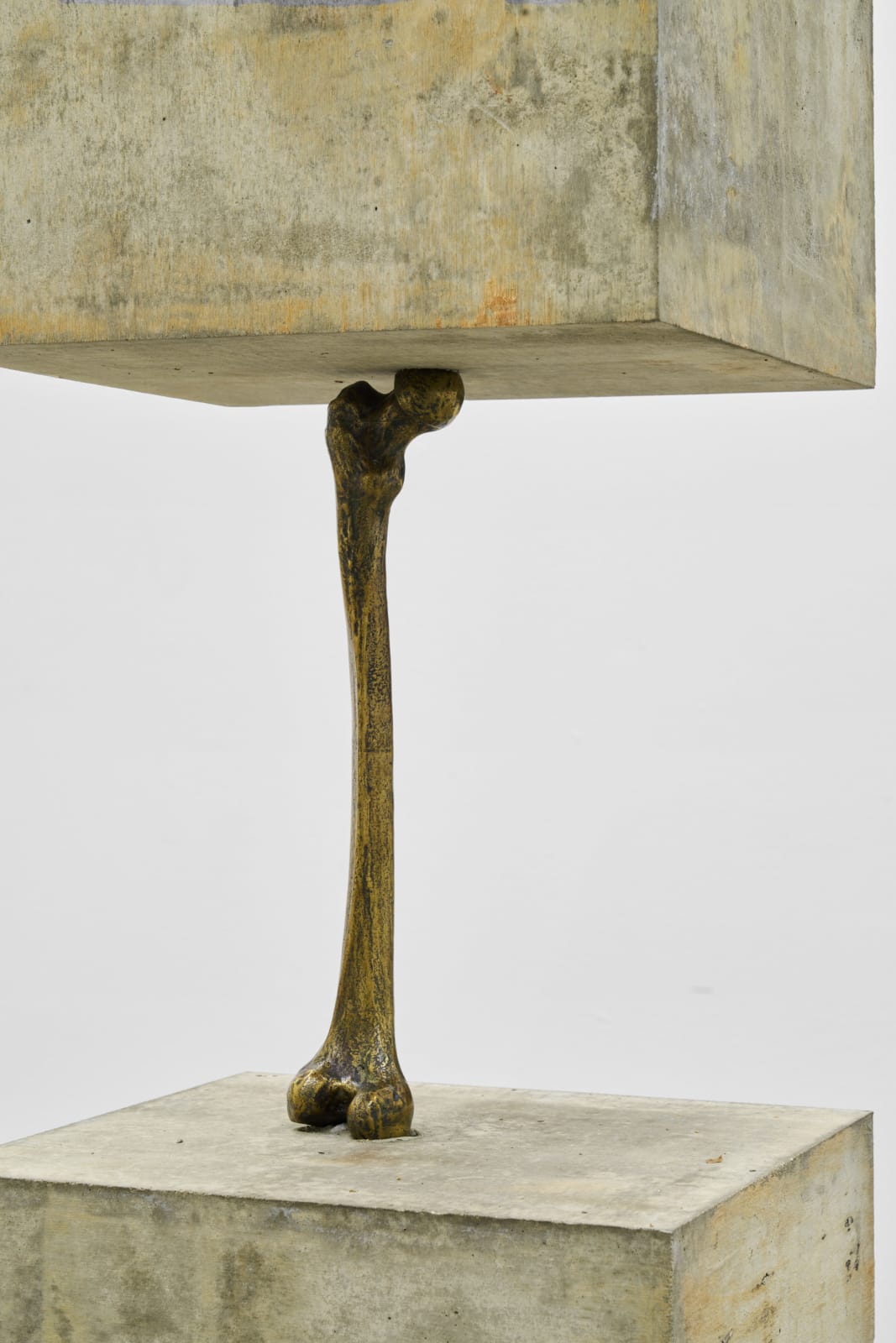 Yoan Capote, Autorretrato (Estudio de Resistencia), 2019