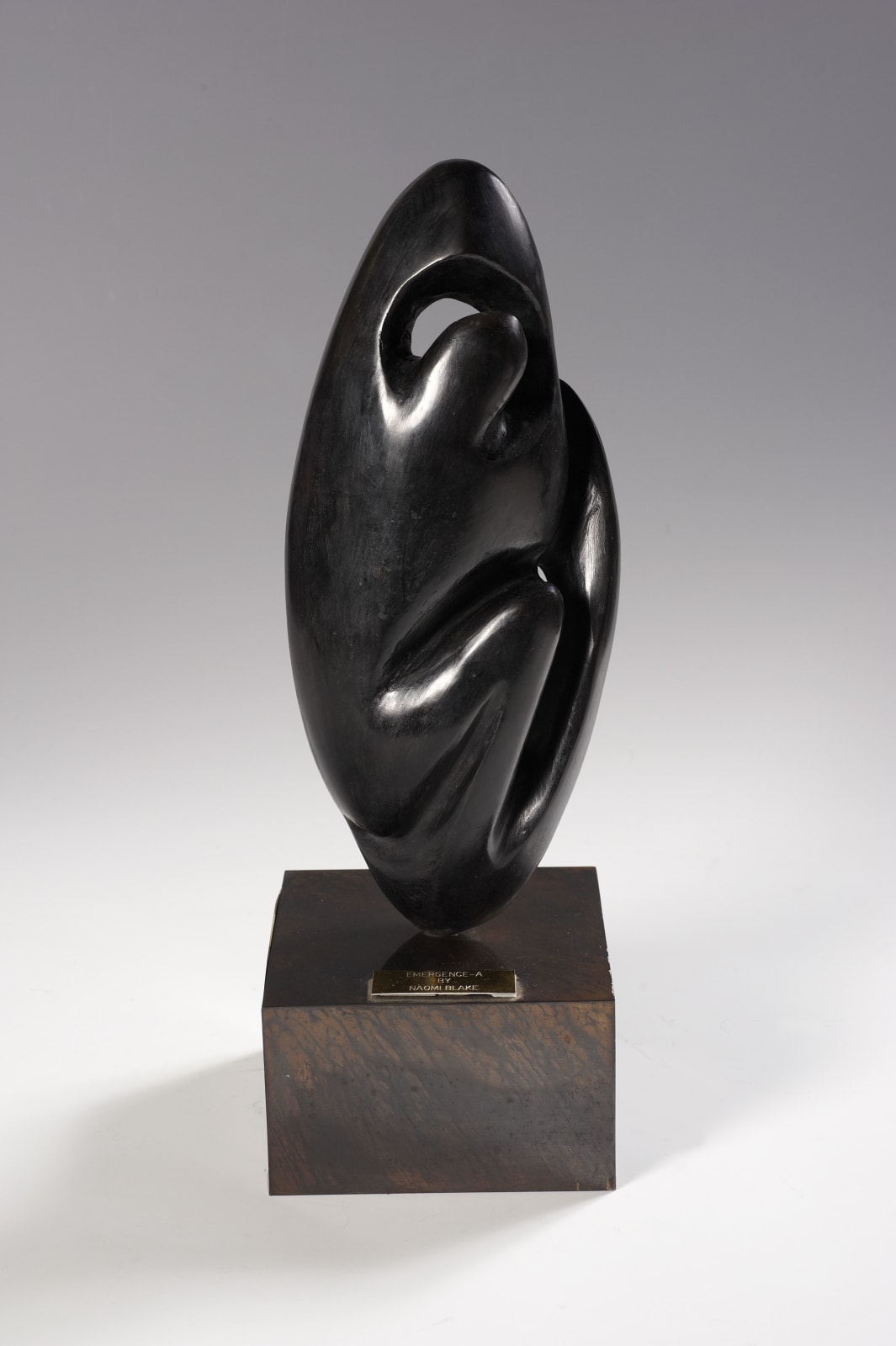 Naomi Blake, Emergence-A, 1987