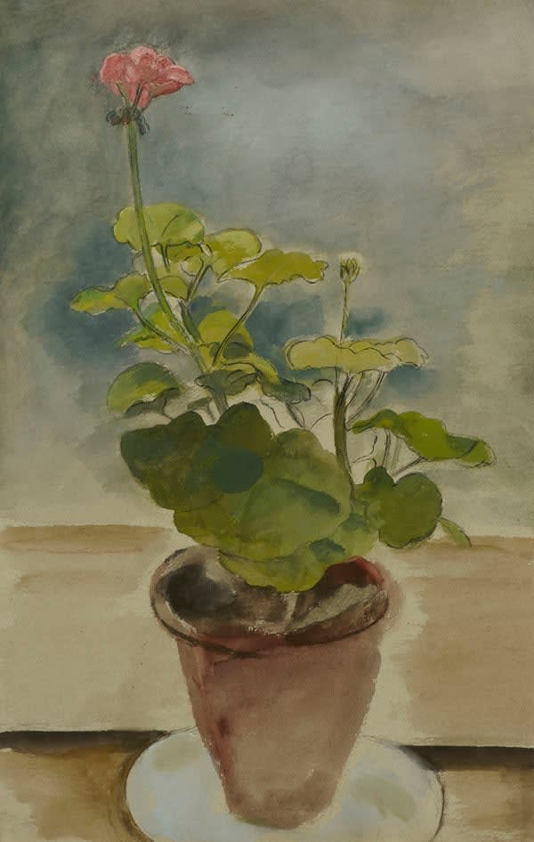 Bernard Meninsky, Geranium
