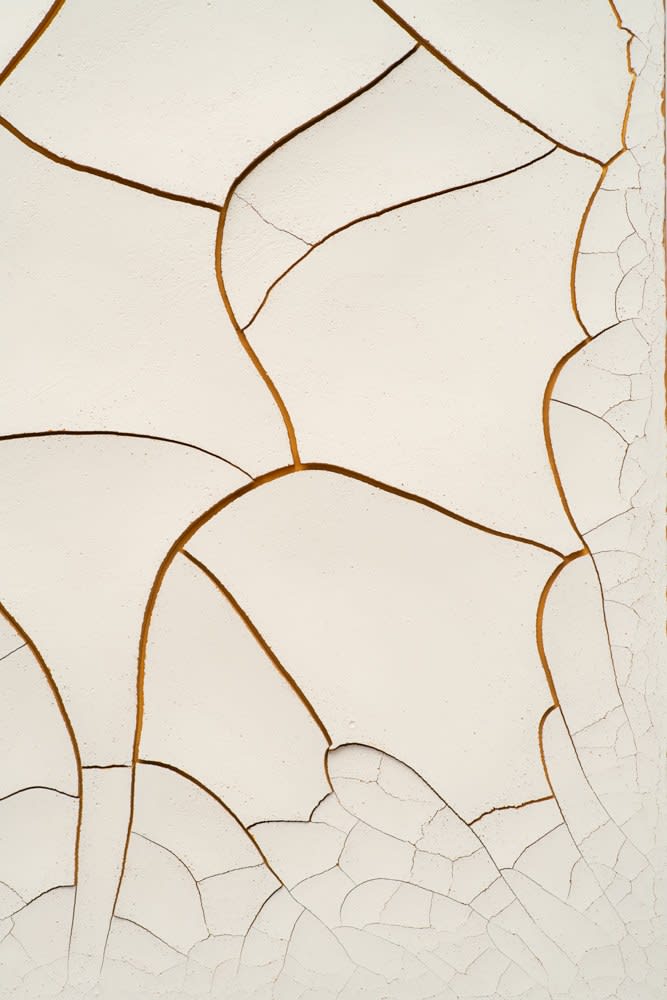 Adriana Varejão, Monocromo Cru #2, 2010