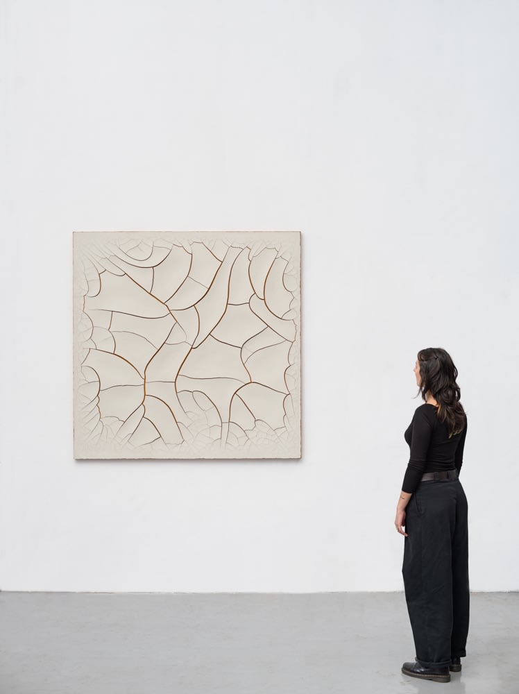 Adriana Varejão, Monocromo Cru #2, 2010
