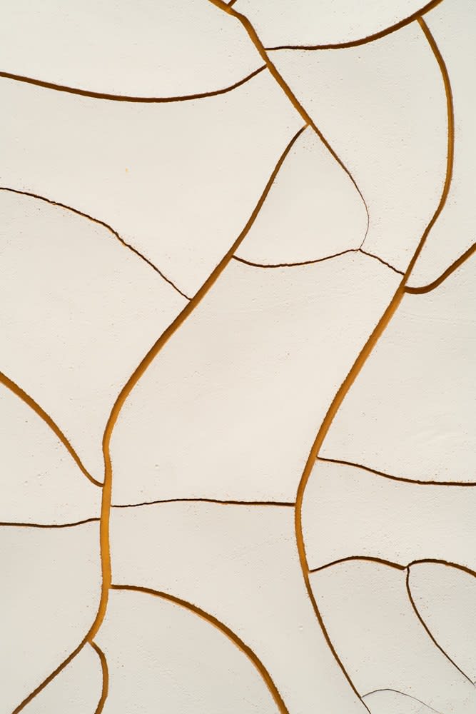 Adriana Varejão, Monocromo Cru #2, 2010