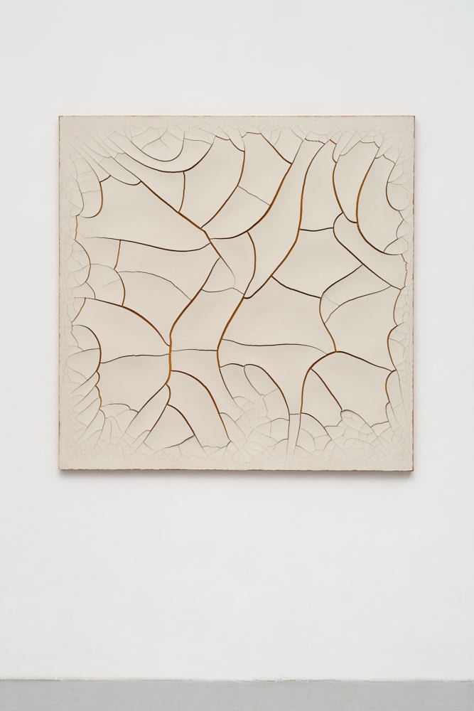 Adriana Varejão, Monocromo Cru #2, 2010