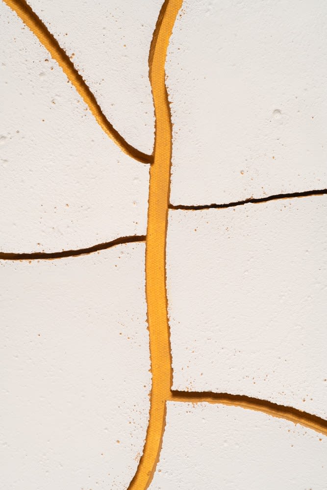 Adriana Varejão, Monocromo Cru #2, 2010
