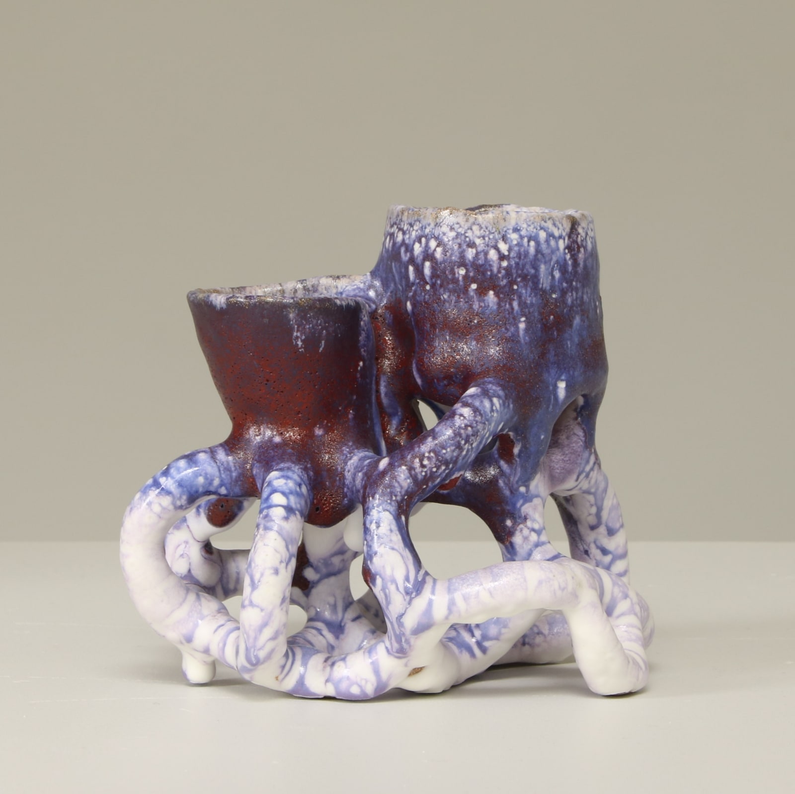 Bente Skjøttgaard, Purple Species #1533, 2016