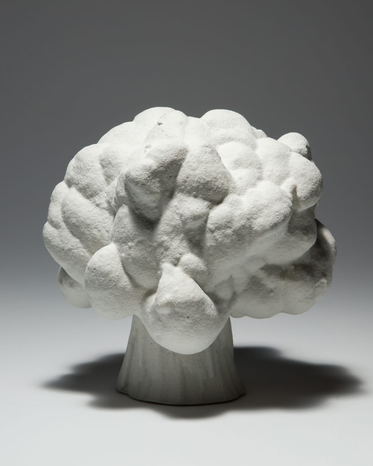 Ellen Ehk, Carapax (Cloud), 2023
