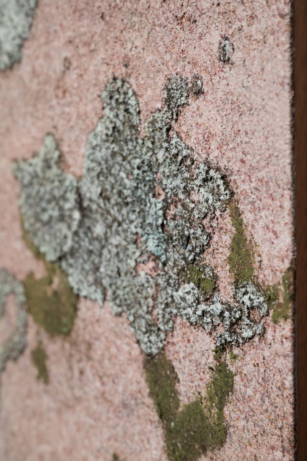 Ivar Lövheim, Eye, Fish and Elastic Landscape, 2024