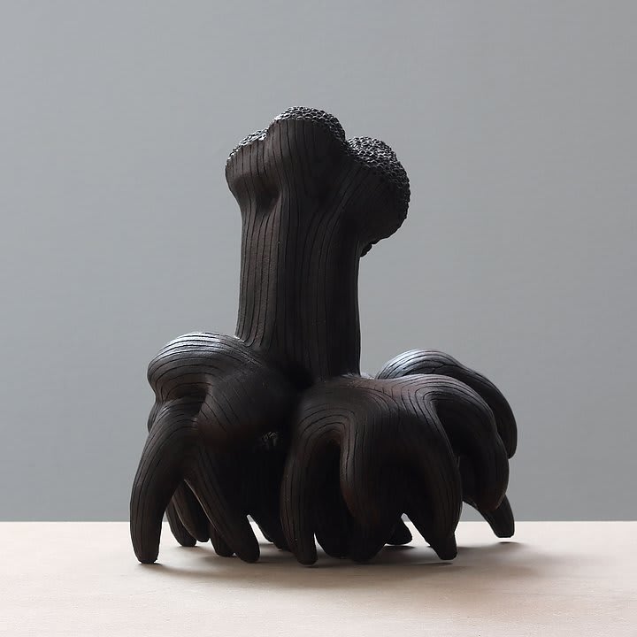 Carl Richard Söderström, Black Knight , 2018