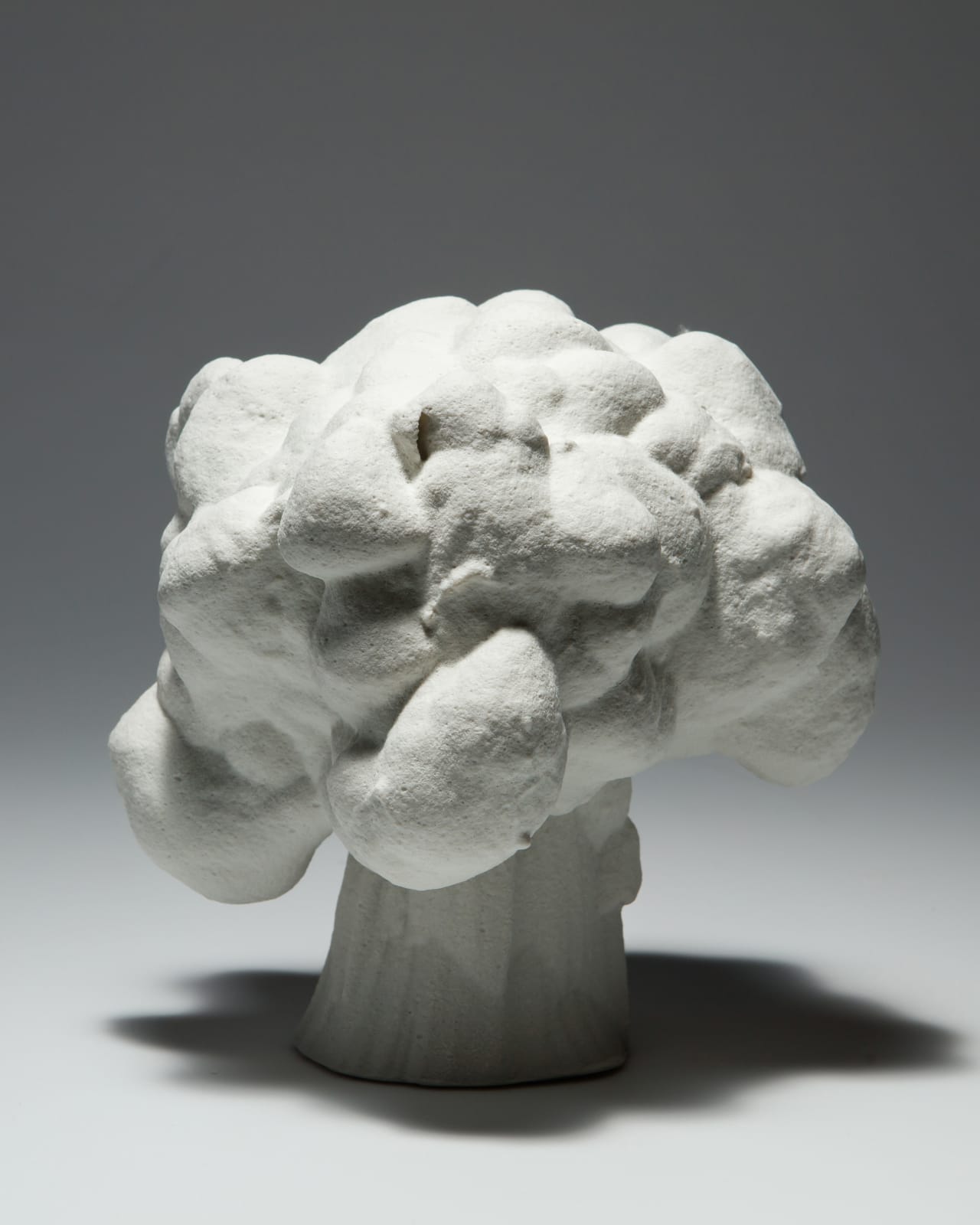 Ellen Ehk, Carapax (Cloud), 2023