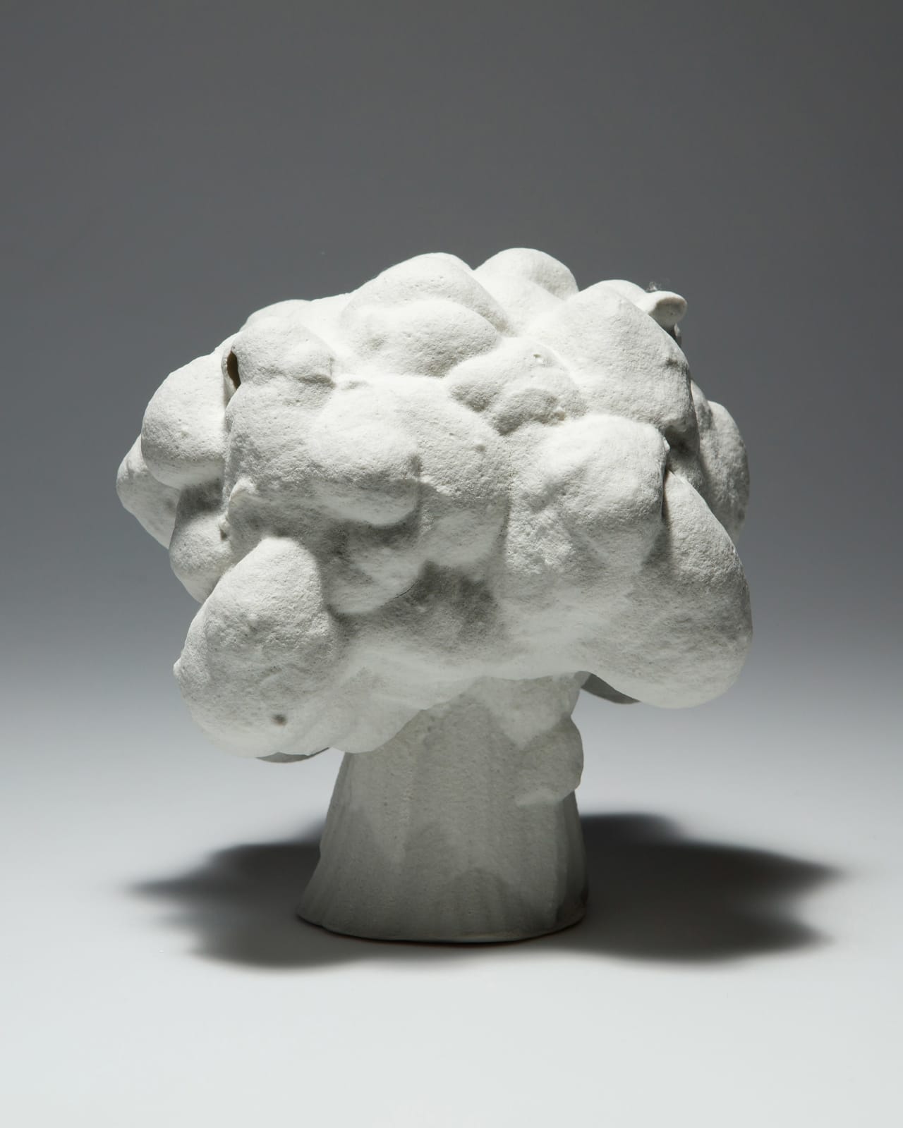 Ellen Ehk, Carapax (Cloud), 2023