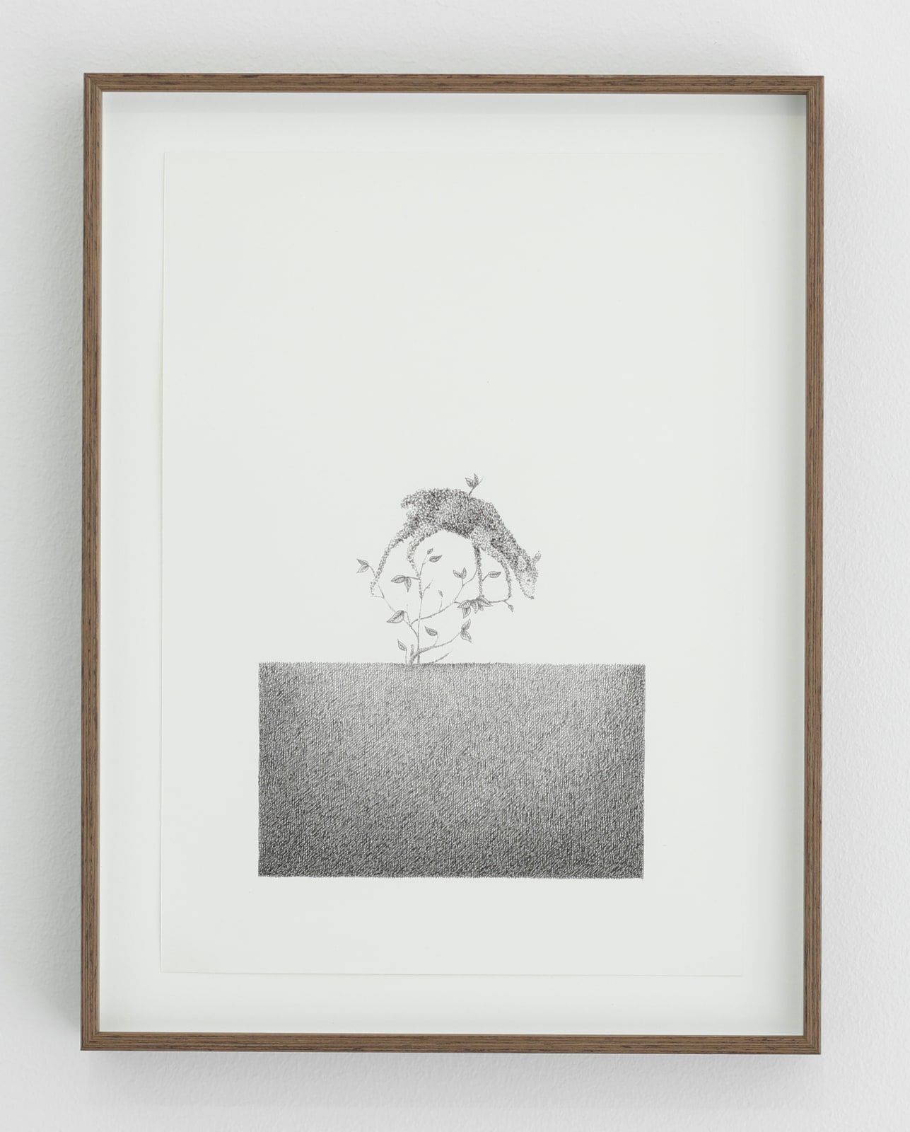 Dea Svensson, Cursed sleep, 2022