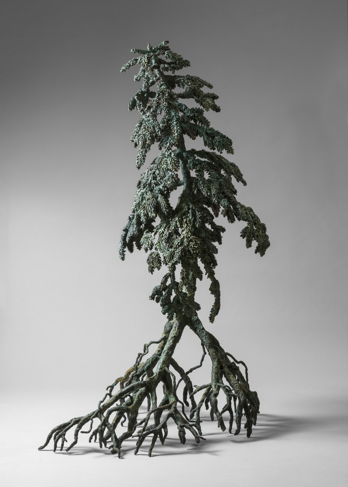 Ellen Ehk, Night Tree, 2025