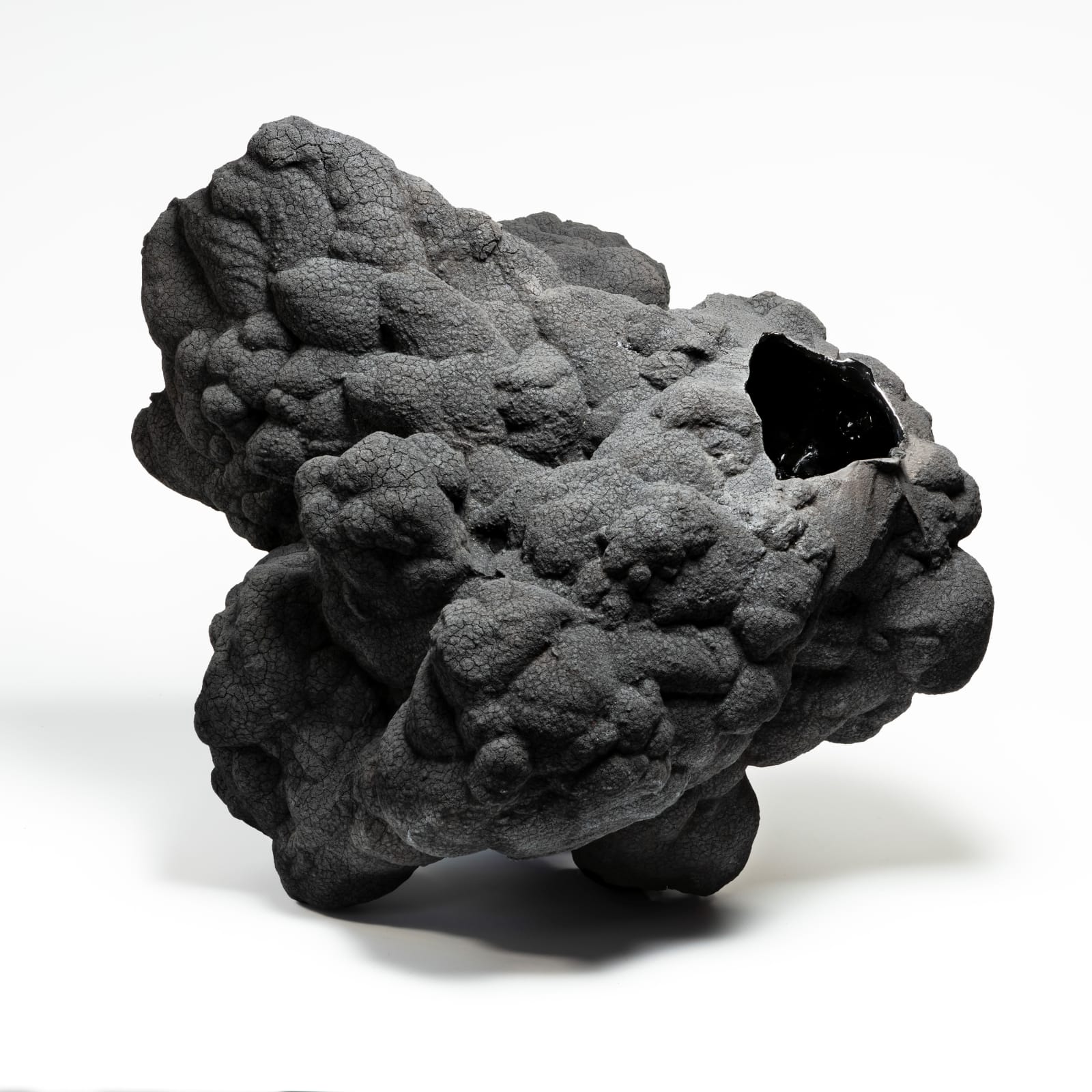 Ellen Ehk, Black Moss, 2019