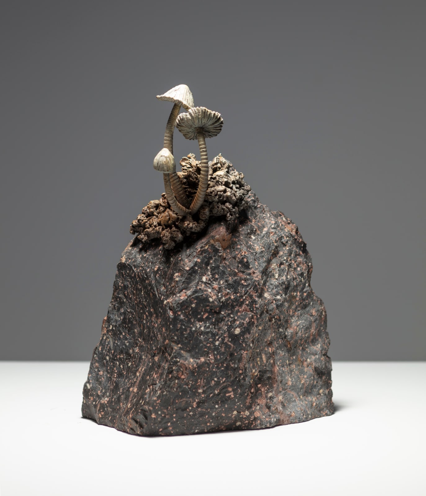 Ellen Ehk, Our mother the mountain, 2023