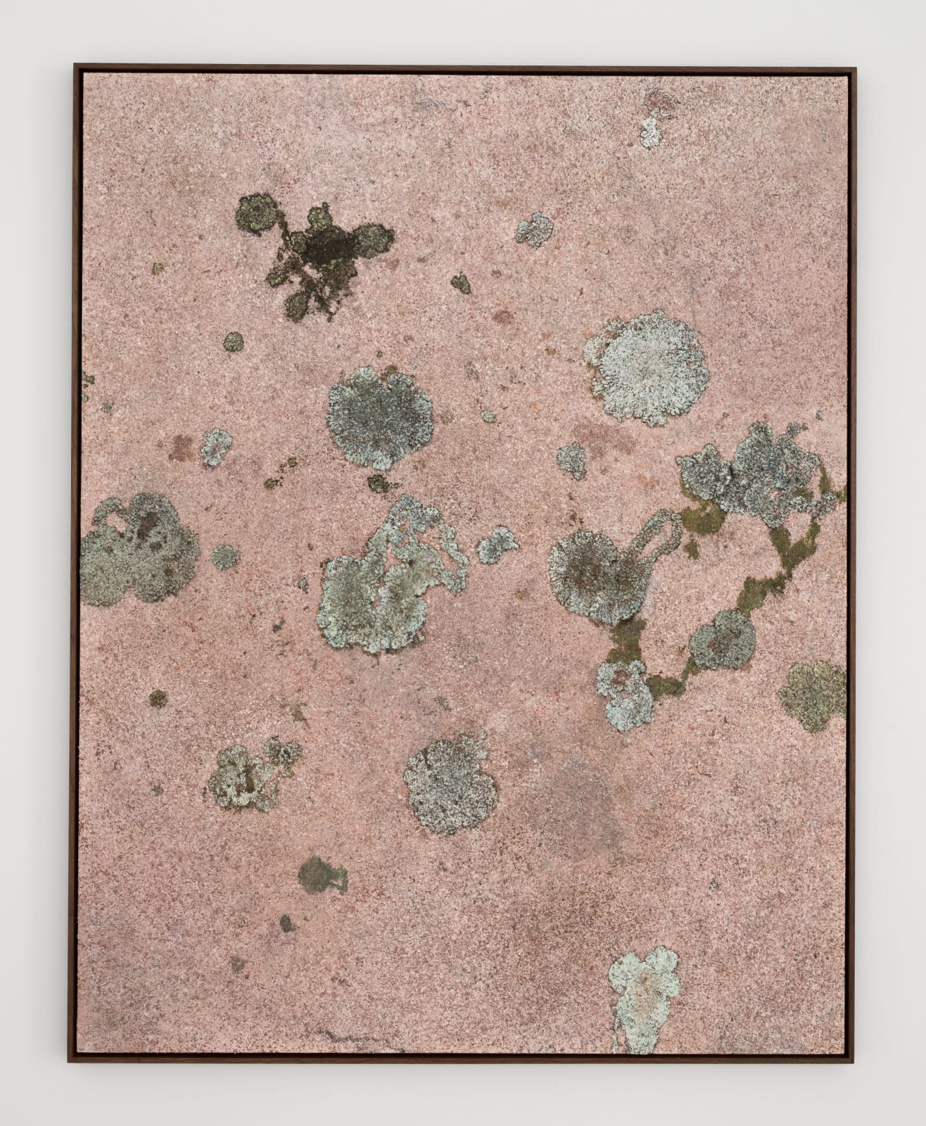 Ivar Lövheim, Eye, Fish and Elastic Landscape, 2024