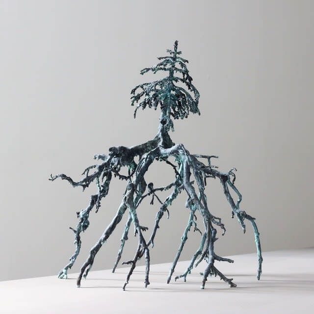 Ellen Ehk, Night Tree (Roots), 2020