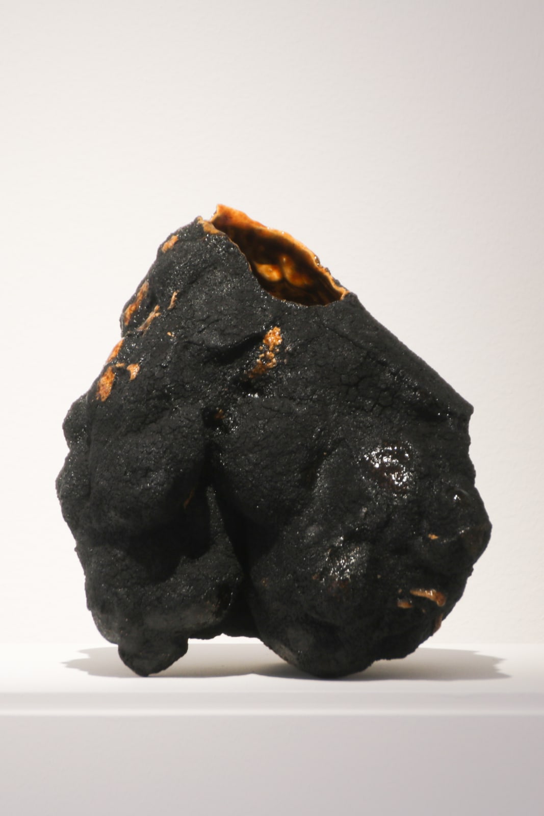 Ellen Ehk, Black moss, 2021