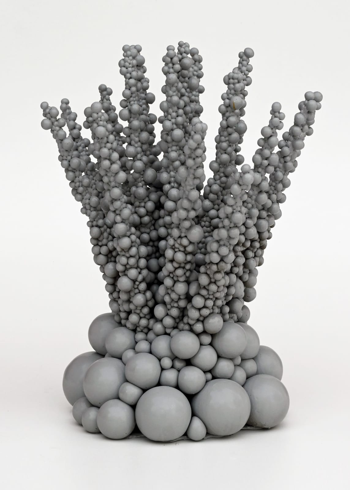 Mårten Medbo, 5MT, 2024