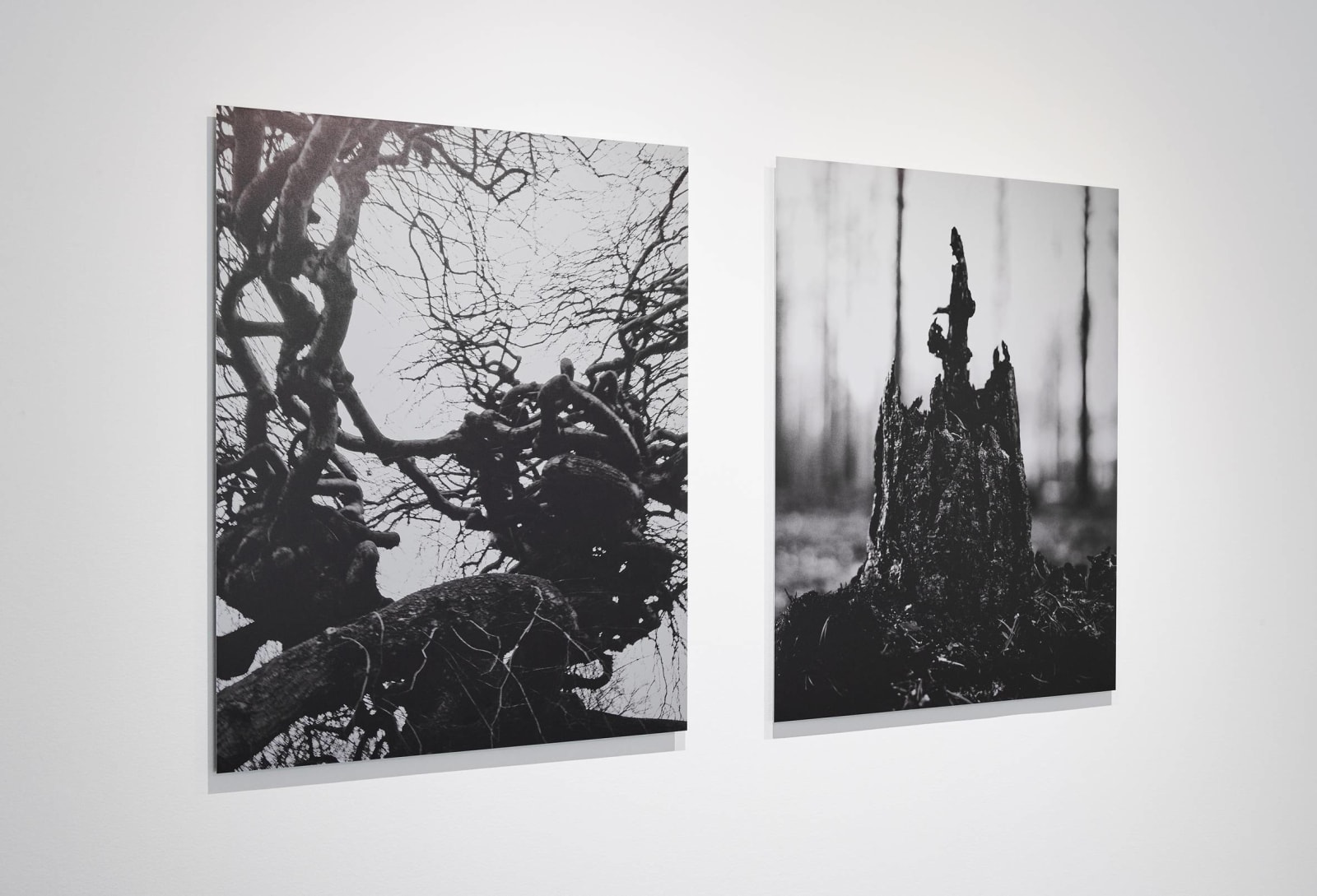 Lisa Wallert, Of Fire, 2021
