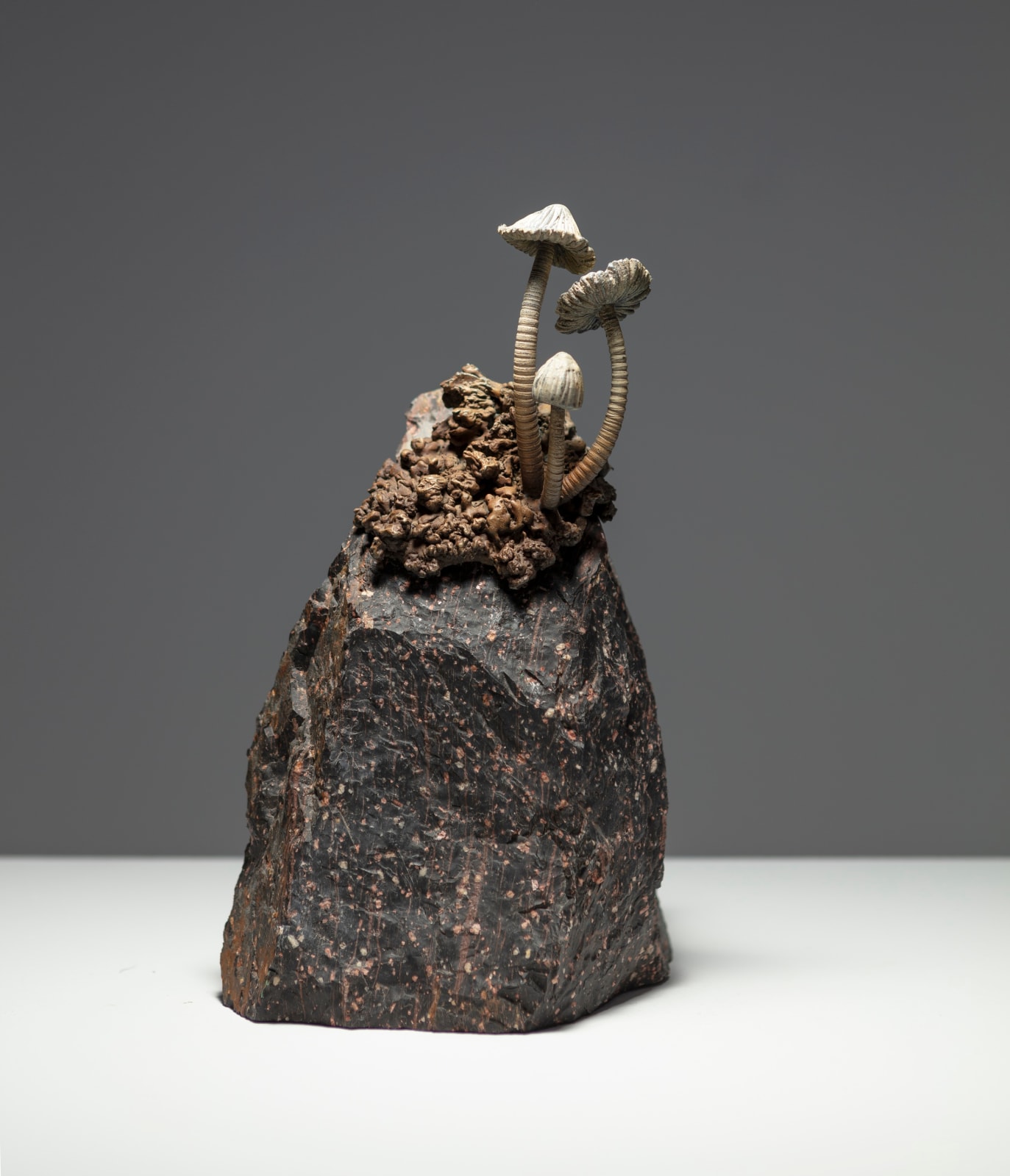 Ellen Ehk, Our mother the mountain, 2023