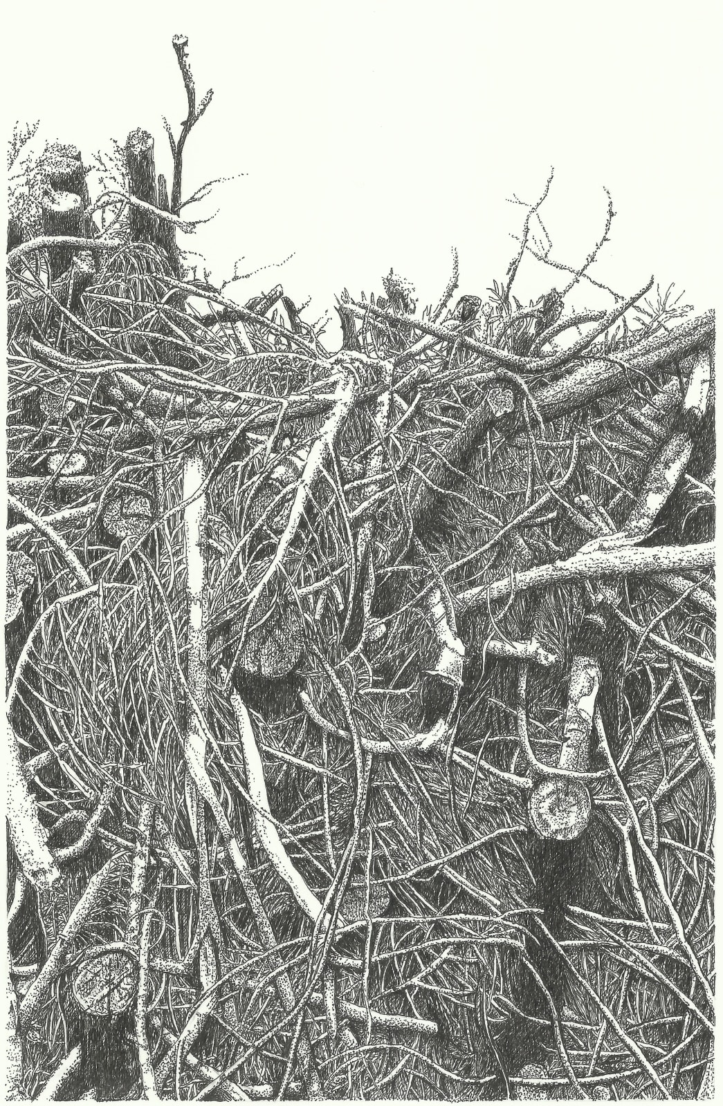 Dea Svensson, Gräns, 2022