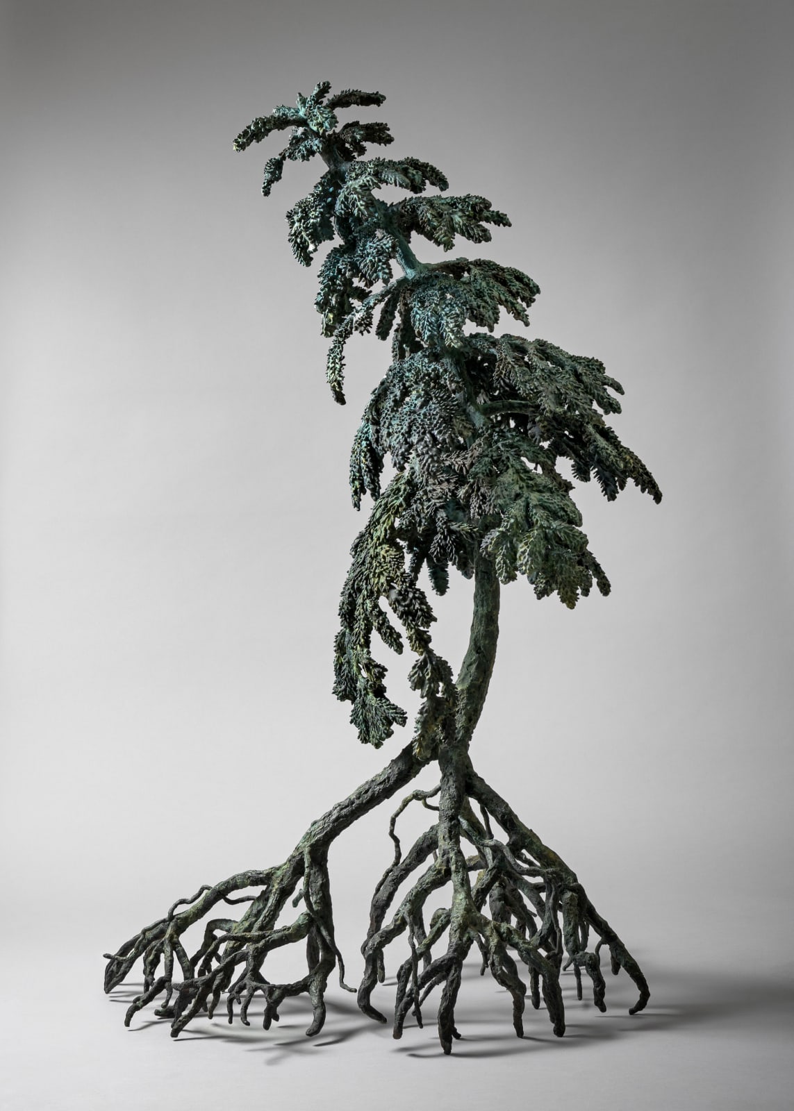 Ellen Ehk, Night Tree, 2025