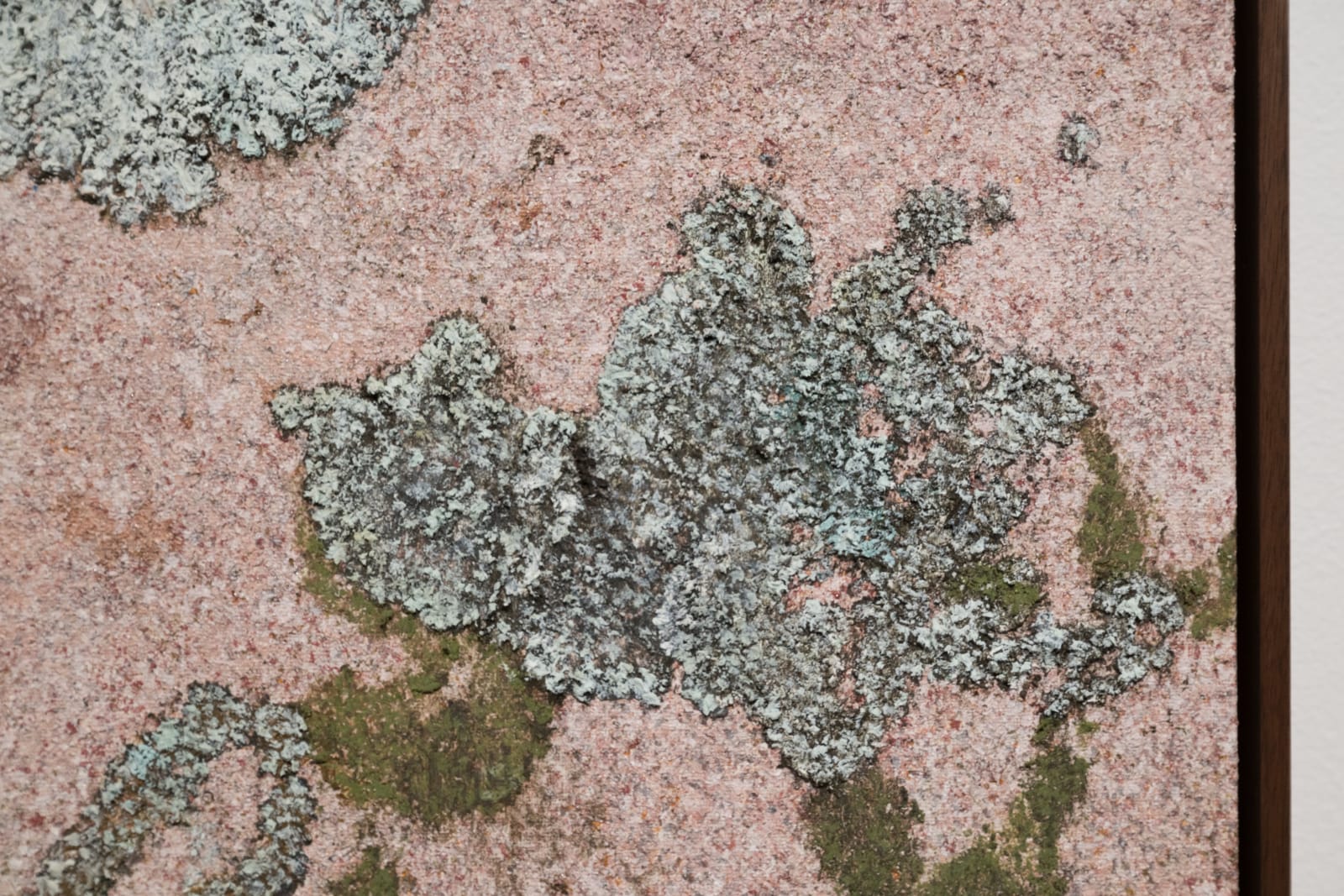 Ivar Lövheim, Eye, Fish and Elastic Landscape, 2024