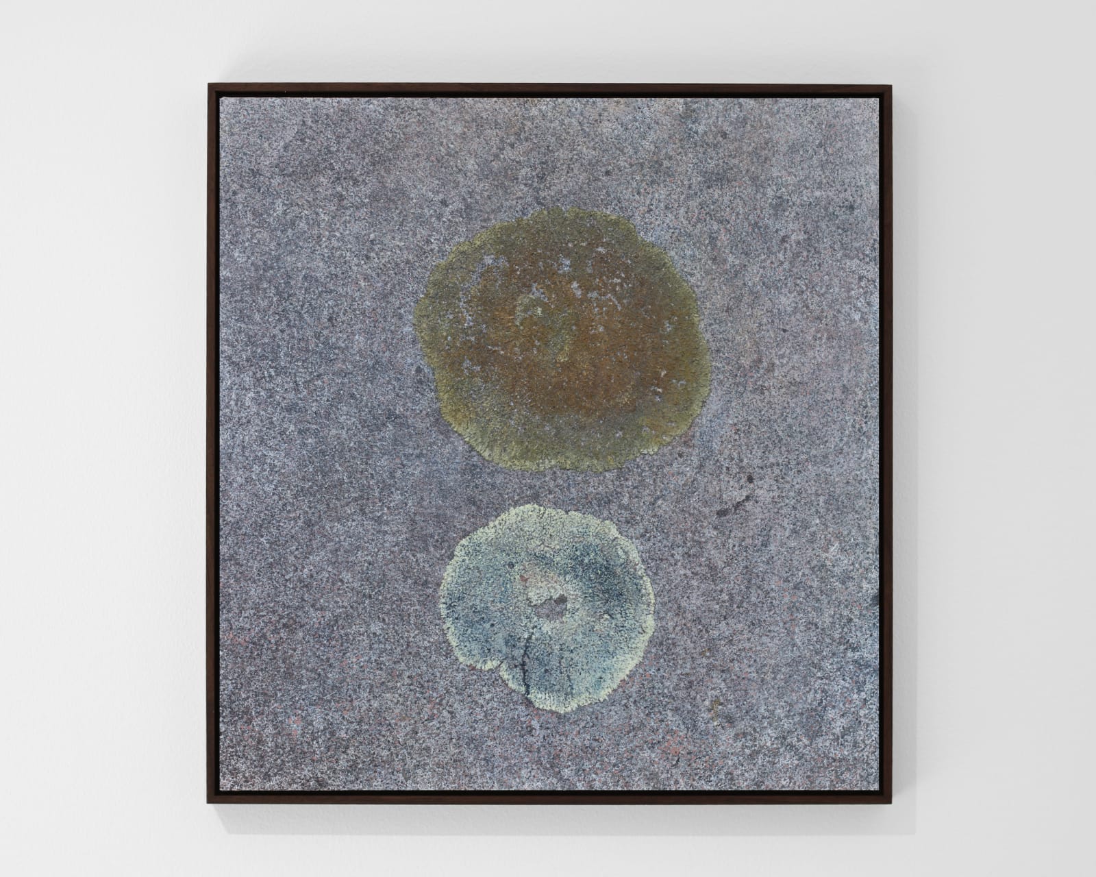 Ivar Lövheim, Igors månlys, 2025