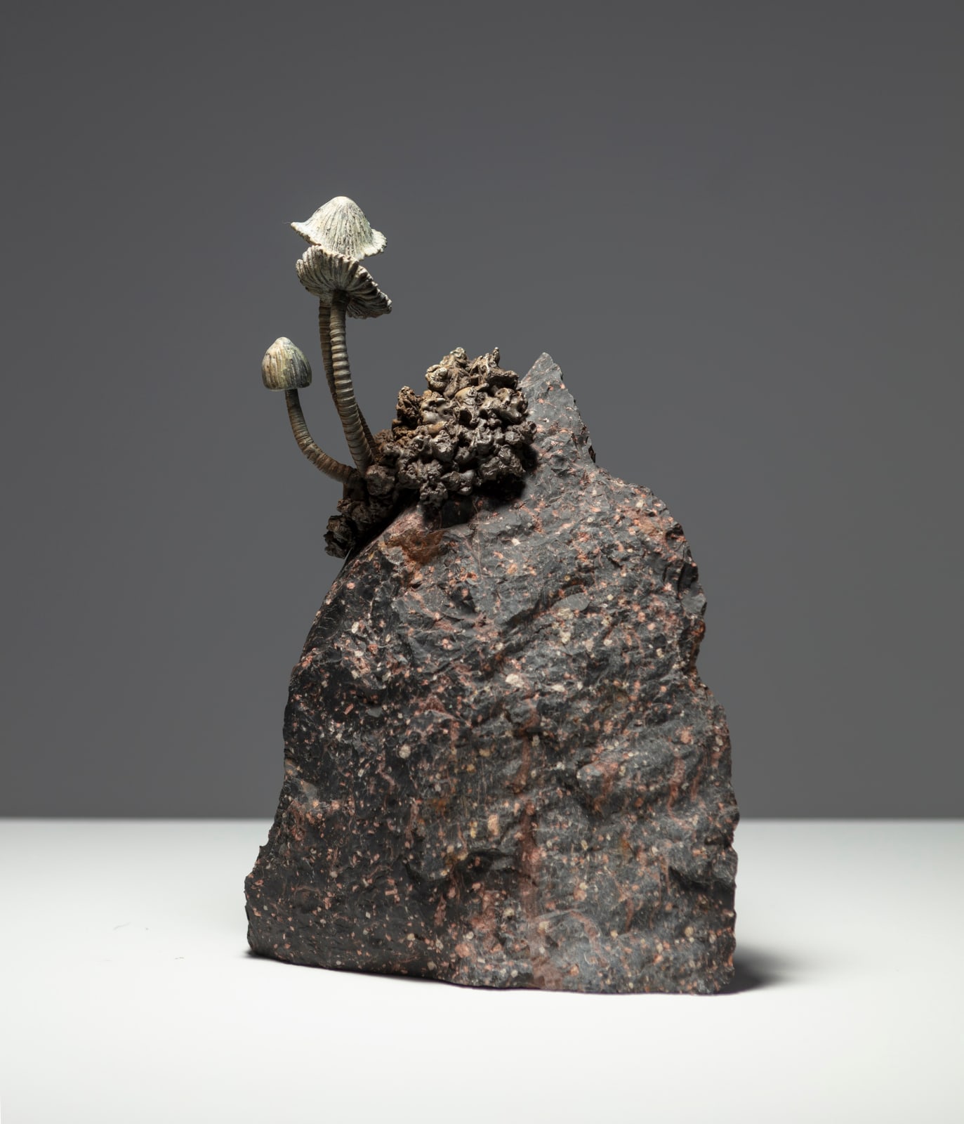 Ellen Ehk, Our mother the mountain, 2023
