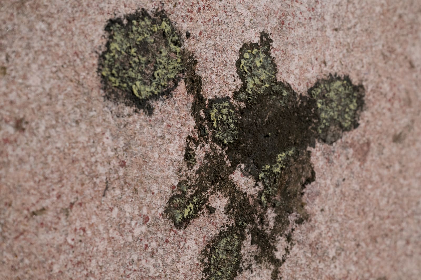 Ivar Lövheim, Eye, Fish and Elastic Landscape, 2024