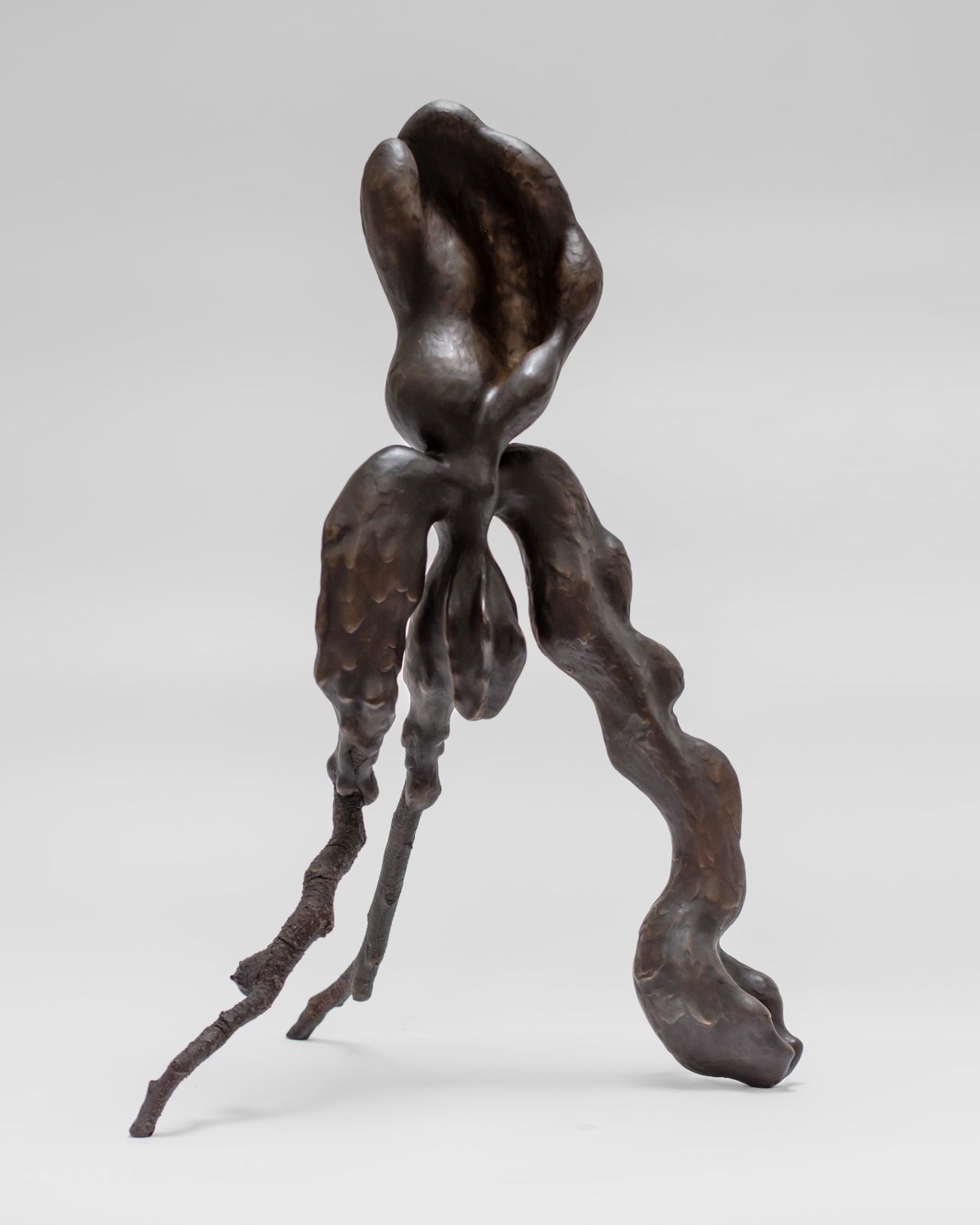 Sara Möller, Muterat hav / Mutated sea, 2024