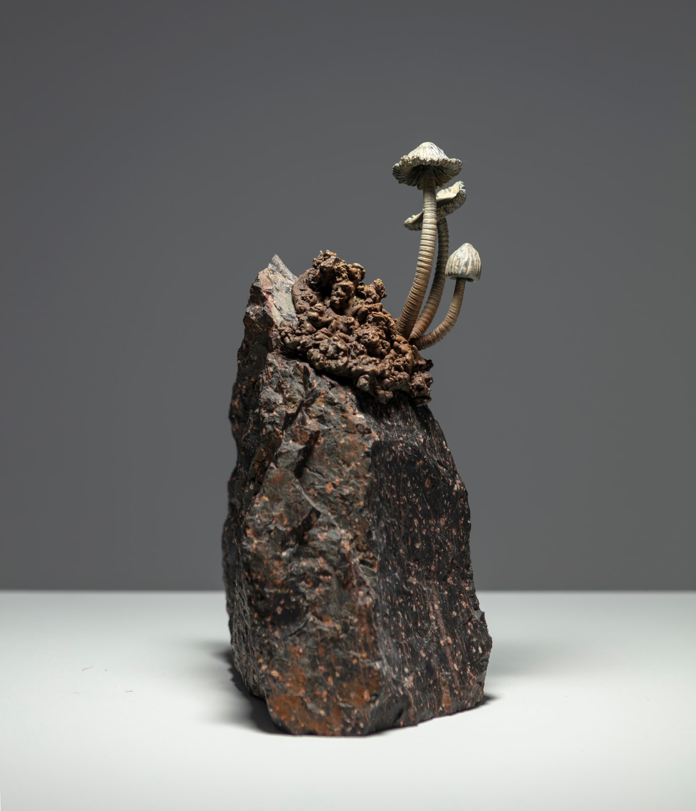 Ellen Ehk, Our mother the mountain, 2023