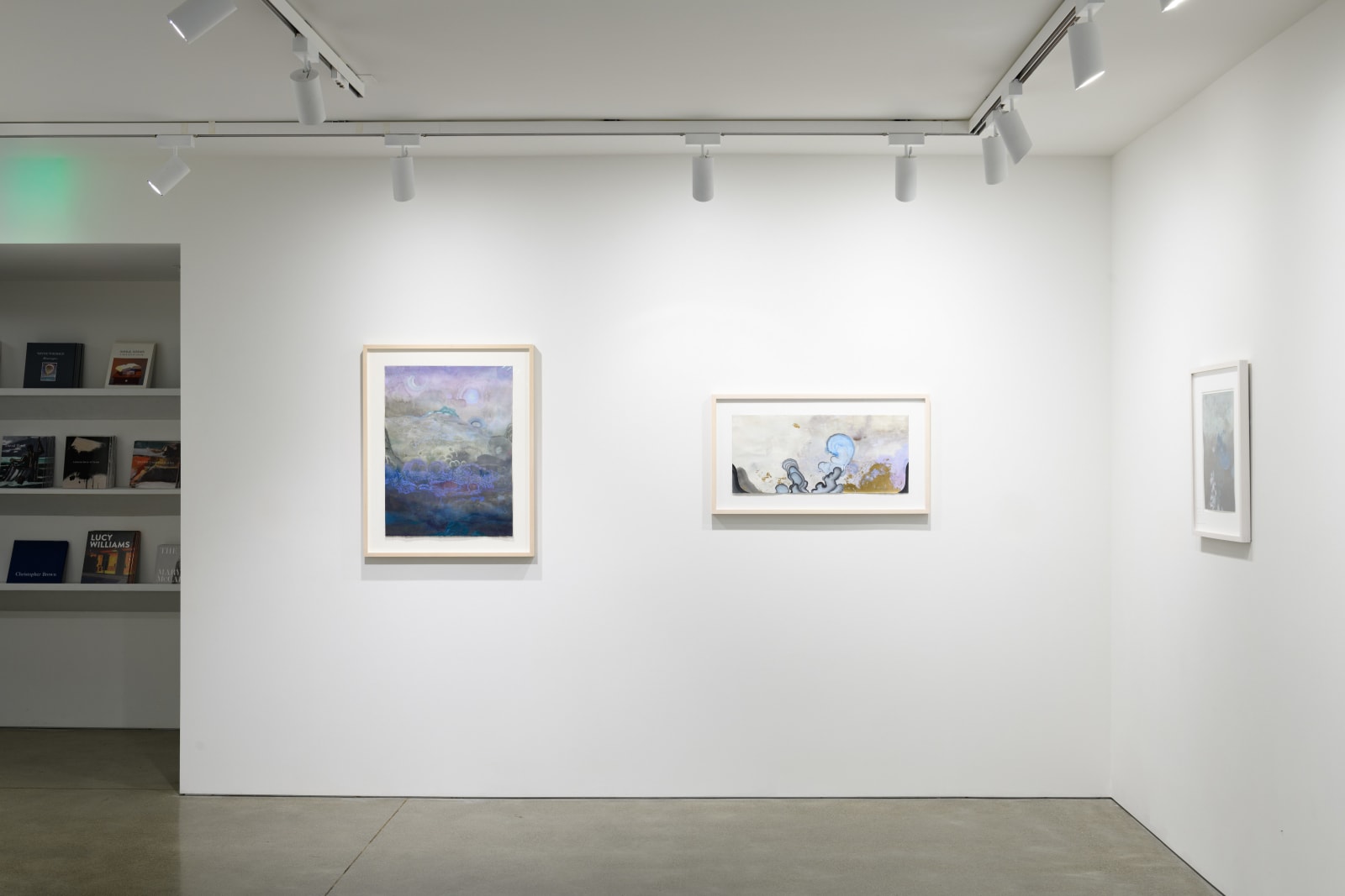 Darren Waterston, Low Humm, 2024