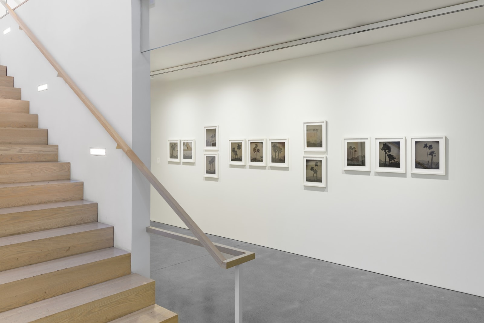 Vanessa Marsh, Palm Springs 44, from the series Further to Fly, 2025