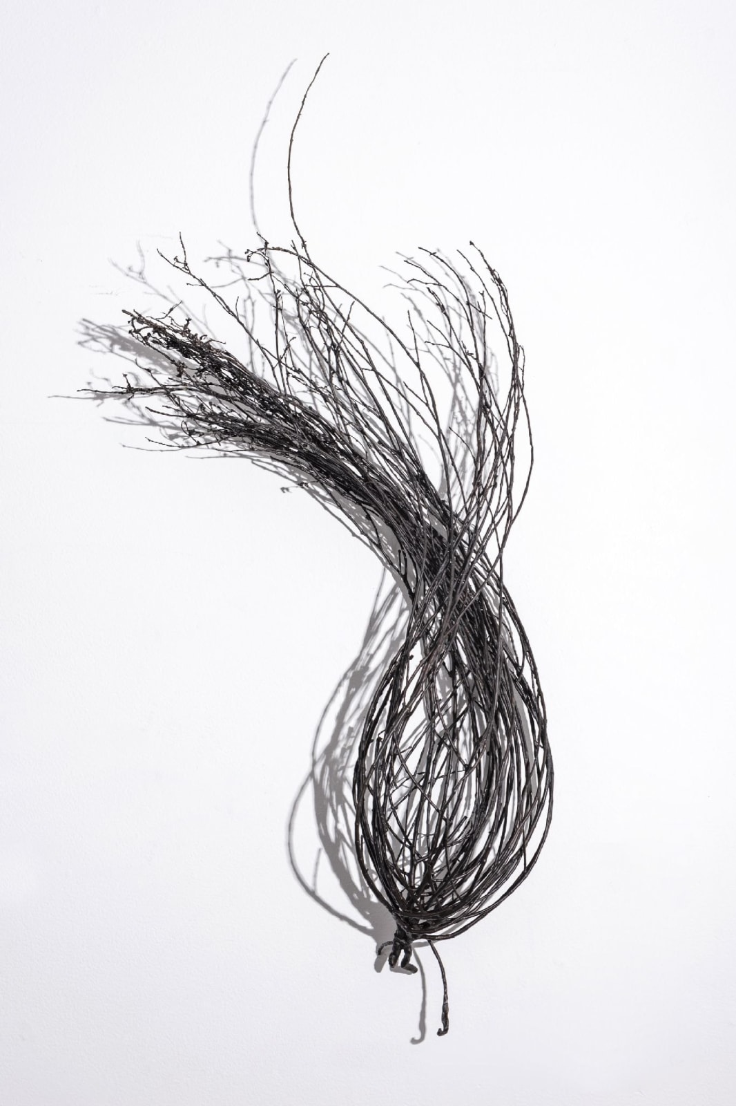 Linda Ridgway, Field #2, 2019