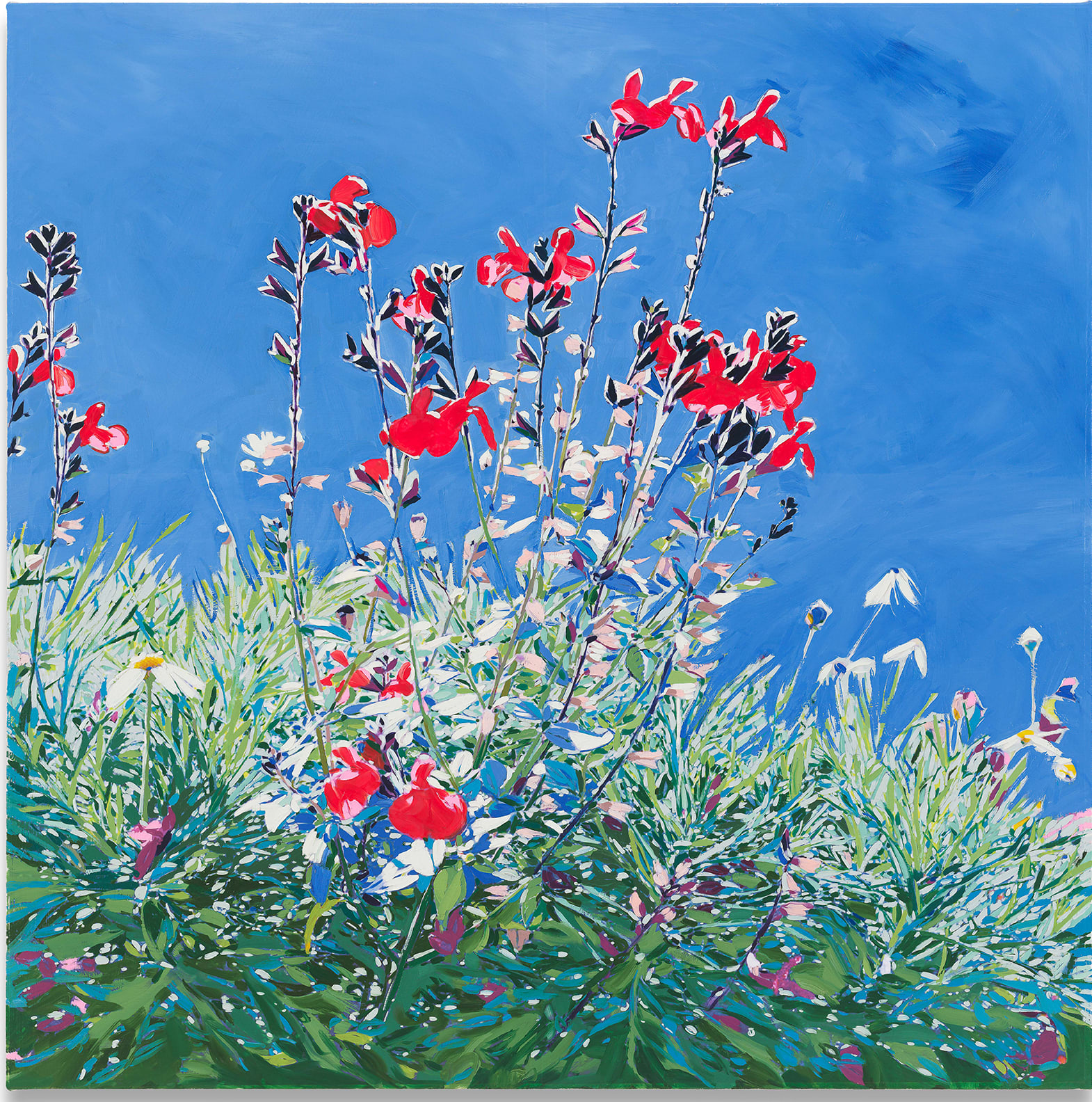 Isca Greenfield-Sanders, Red Wildflowers, 2025