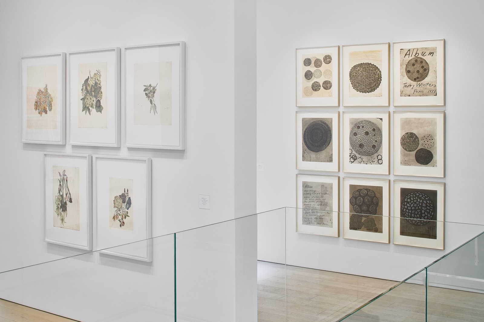 Terry Winters, Album, 1988