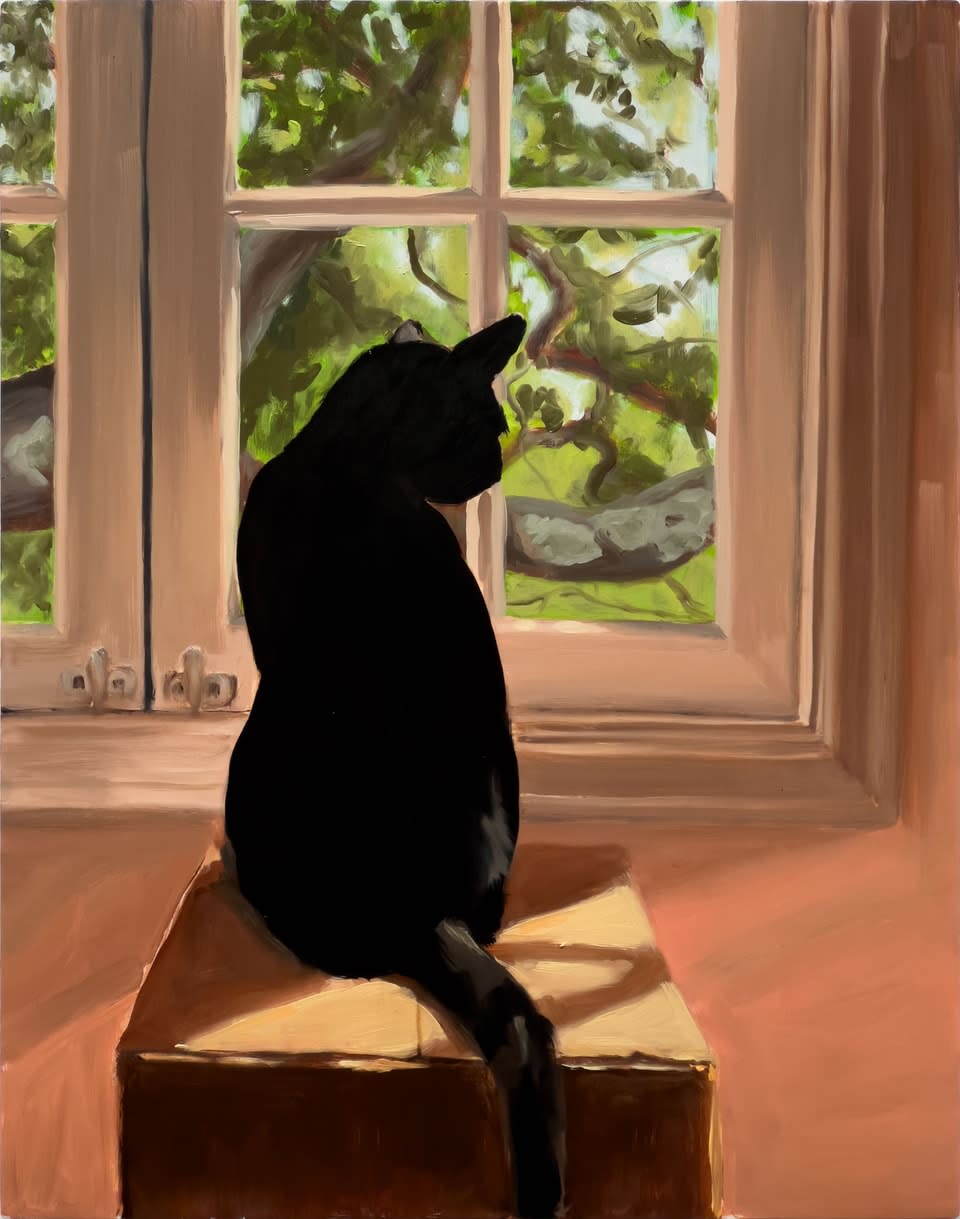 Jillian Shea, Lilith perched on a cardboard box, 2025