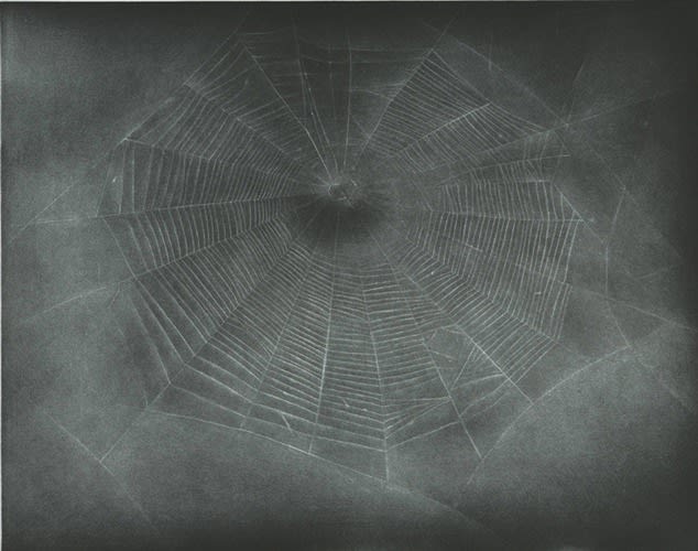Vija Celmins, Untitled (Web 3), 2002