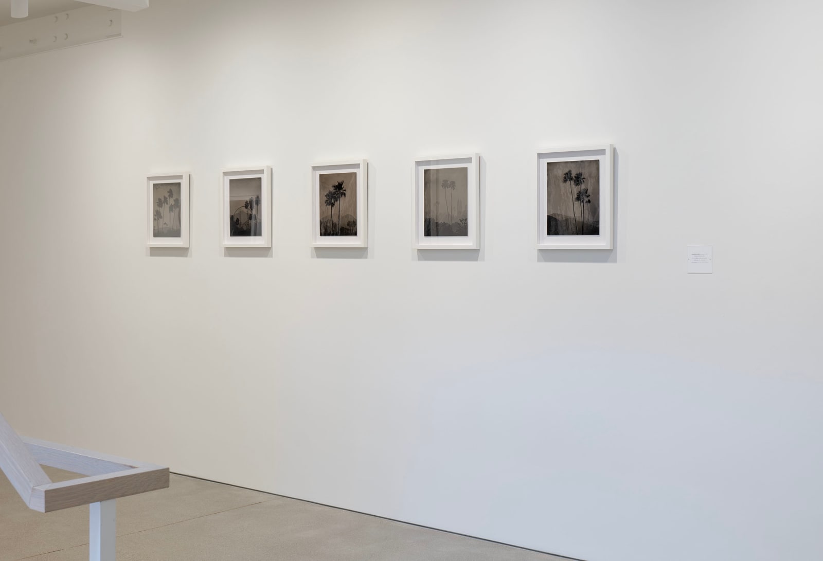 Vanessa Marsh, Palm Springs 7, 2021