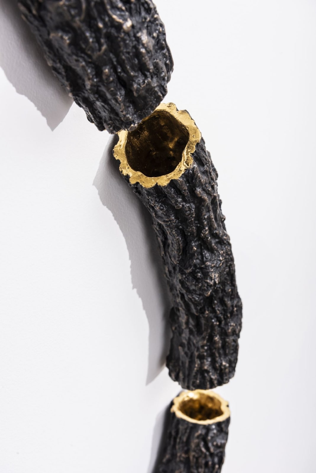 Linda Ridgway, Revelation, 2022