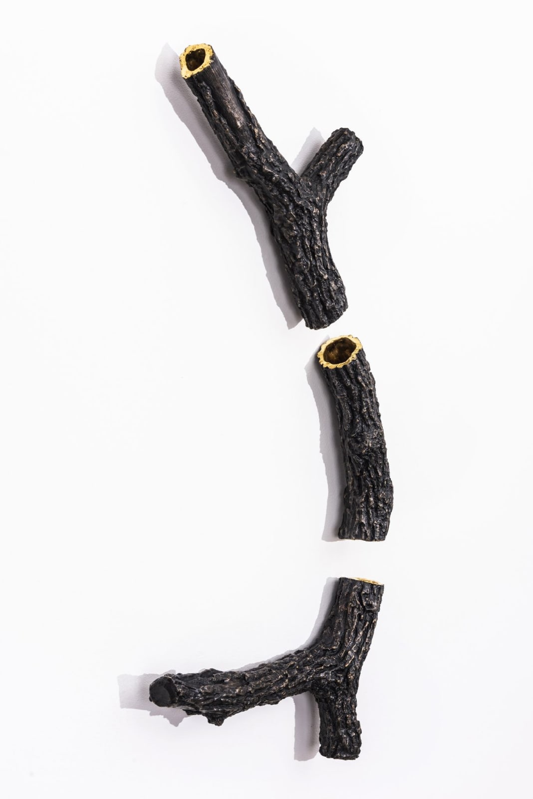 Linda Ridgway, Revelation, 2022