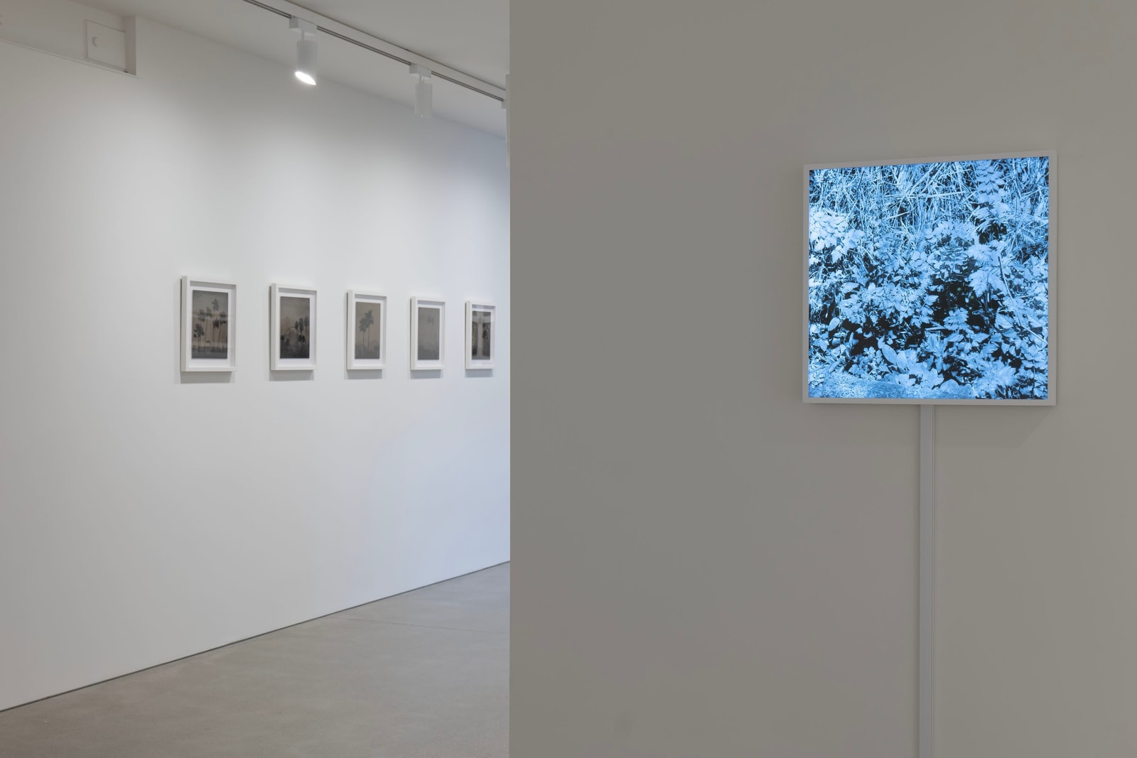 Vanessa Marsh, Palm Springs 7, 2021